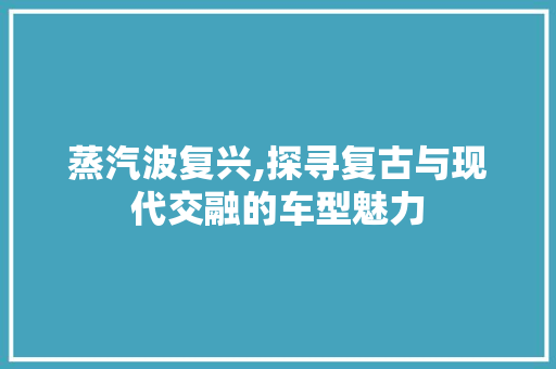 蒸汽波复兴,探寻复古与现代交融的车型魅力