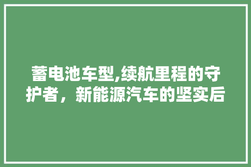 蓄电池车型,续航里程的守护者，新能源汽车的坚实后盾