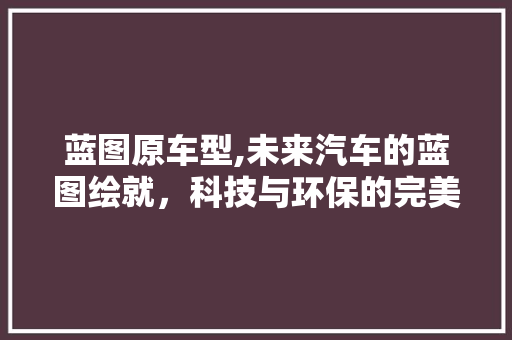 蓝图原车型,未来汽车的蓝图绘就，科技与环保的完美融合