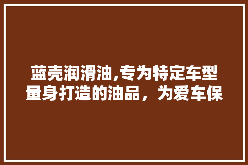 蓝壳润滑油,专为特定车型量身打造的油品，为爱车保驾护航