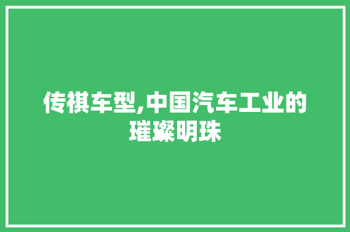 传祺车型,中国汽车工业的璀璨明珠