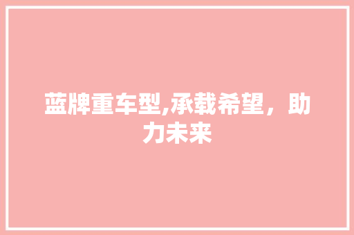 蓝牌重车型,承载希望，助力未来