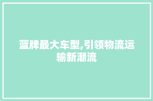 蓝牌最大车型,引领物流运输新潮流