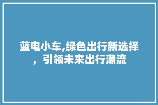 蓝电小车,绿色出行新选择，引领未来出行潮流