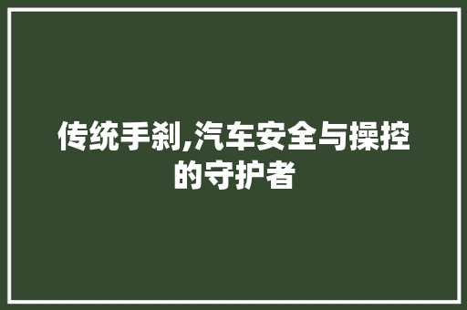 传统手刹,汽车安全与操控的守护者