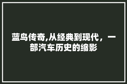 蓝鸟传奇,从经典到现代，一部汽车历史的缩影