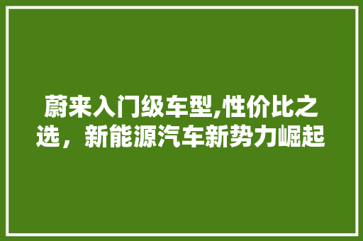 蔚来入门级车型,性价比之选，新能源汽车新势力崛起