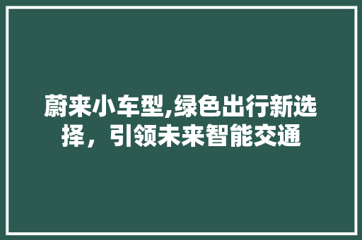 蔚来小车型,绿色出行新选择，引领未来智能交通 底盘配件