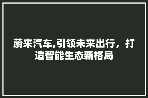 蔚来汽车,引领未来出行，打造智能生态新格局