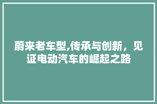 蔚来老车型,传承与创新，见证电动汽车的崛起之路