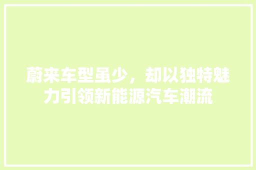蔚来车型虽少，却以独特魅力引领新能源汽车潮流