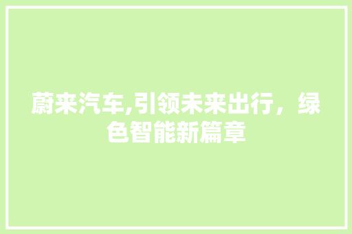 蔚来汽车,引领未来出行，绿色智能新篇章