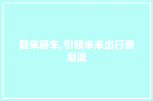 蔚来轿车,引领未来出行新潮流