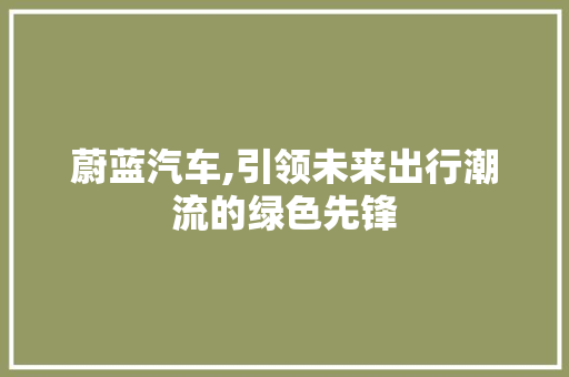 蔚蓝汽车,引领未来出行潮流的绿色先锋 汽车配件