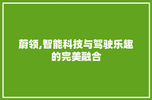 蔚领,智能科技与驾驶乐趣的完美融合