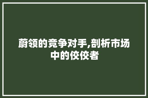 蔚领的竞争对手,剖析市场中的佼佼者