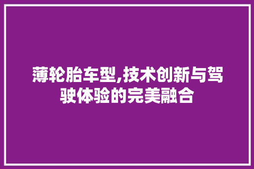 薄轮胎车型,技术创新与驾驶体验的完美融合