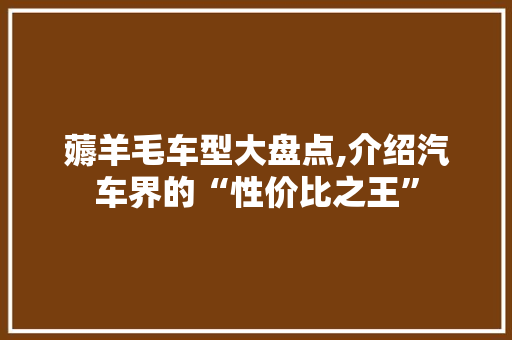 薅羊毛车型大盘点,介绍汽车界的“性价比之王”