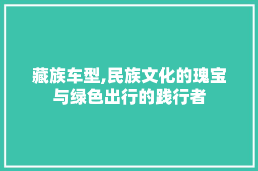 藏族车型,民族文化的瑰宝与绿色出行的践行者