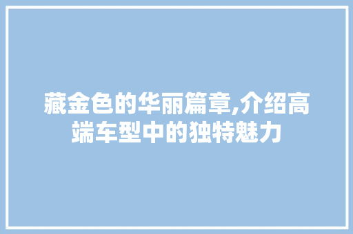 藏金色的华丽篇章,介绍高端车型中的独特魅力 车身配件