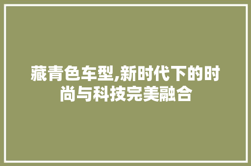 藏青色车型,新时代下的时尚与科技完美融合