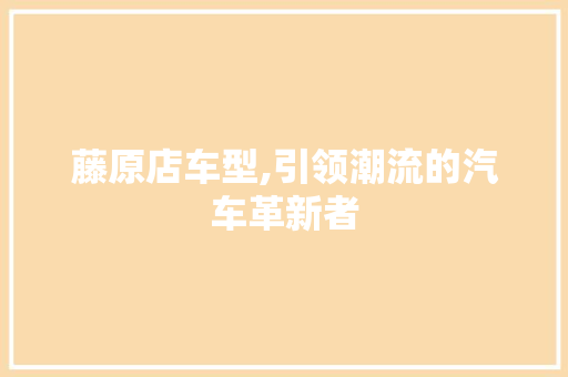 藤原店车型,引领潮流的汽车革新者