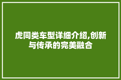 虎同类车型详细介绍,创新与传承的完美融合 新款车型