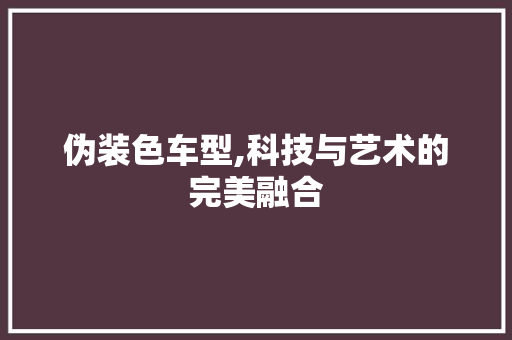 伪装色车型,科技与艺术的完美融合 新款车型