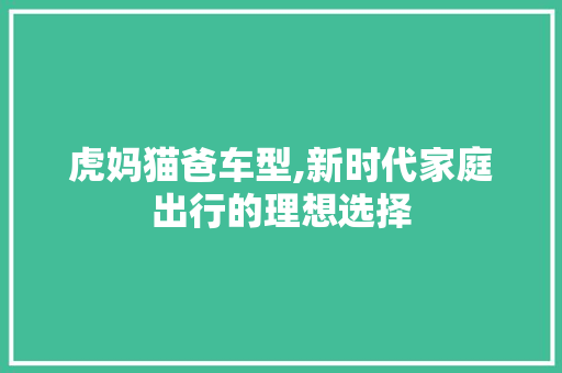 虎妈猫爸车型,新时代家庭出行的理想选择