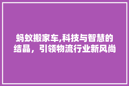 蚂蚁搬家车,科技与智慧的结晶，引领物流行业新风尚