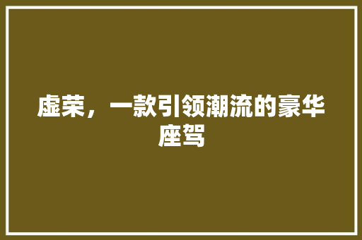 虚荣，一款引领潮流的豪华座驾