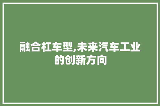融合杠车型,未来汽车工业的创新方向 车灯配件