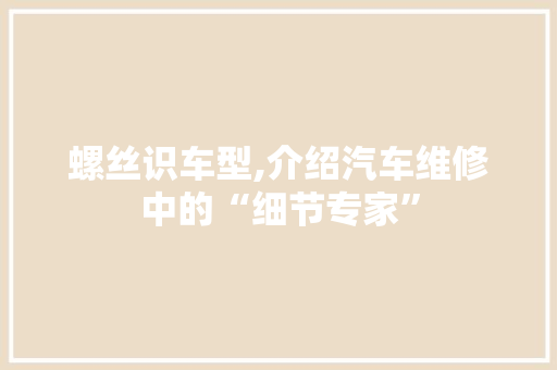螺丝识车型,介绍汽车维修中的“细节专家”