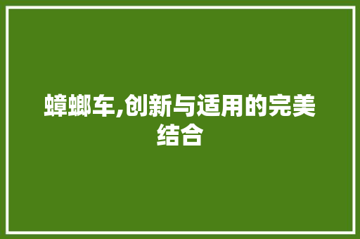 蟑螂车,创新与适用的完美结合