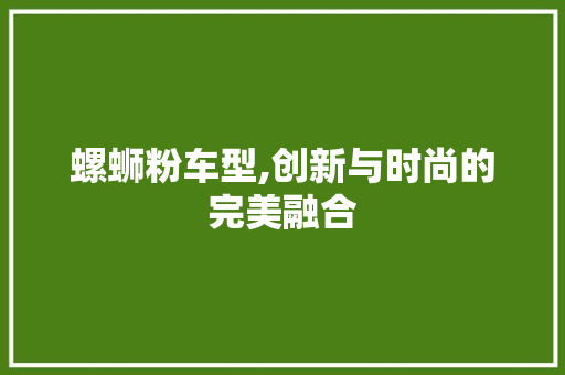 螺蛳粉车型,创新与时尚的完美融合