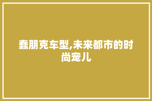 蠢朋克车型,未来都市的时尚宠儿