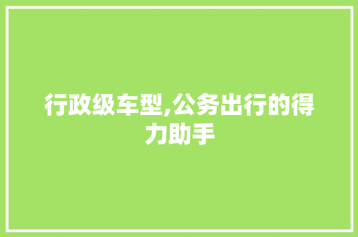 行政级车型,公务出行的得力助手