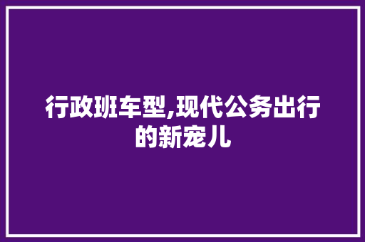 行政班车型,现代公务出行的新宠儿