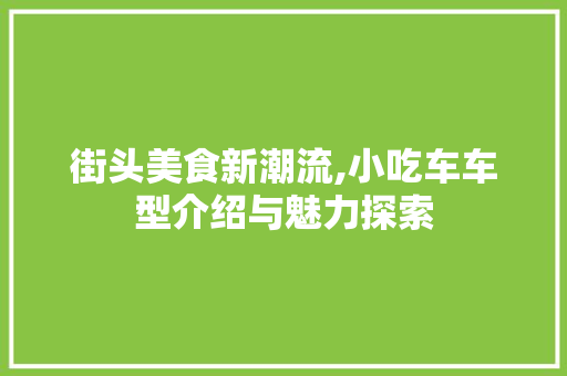 街头美食新潮流,小吃车车型介绍与魅力探索