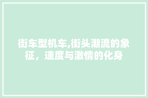街车型机车,街头潮流的象征，速度与激情的化身