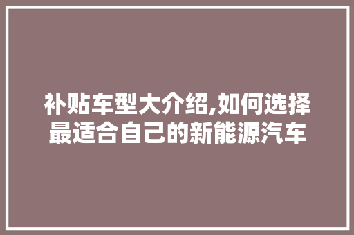 补贴车型大介绍,如何选择最适合自己的新能源汽车
