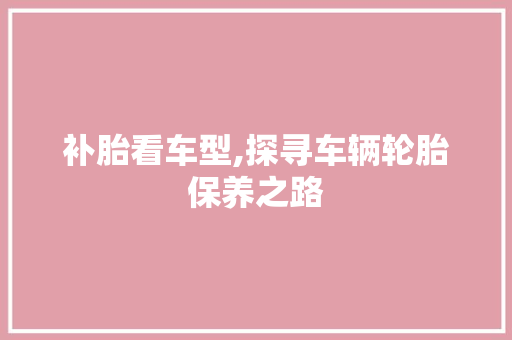 补胎看车型,探寻车辆轮胎保养之路