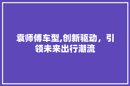 袁师傅车型,创新驱动，引领未来出行潮流