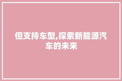 但支持车型,探索新能源汽车的未来