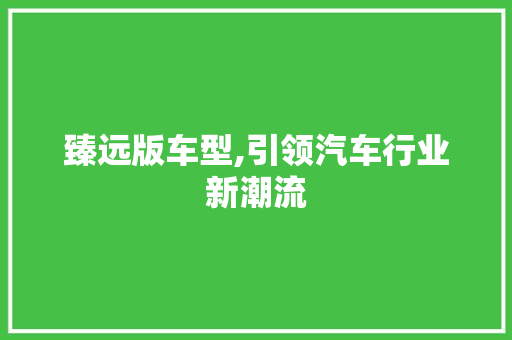 臻远版车型,引领汽车行业新潮流