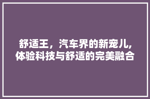 舒适王，汽车界的新宠儿,体验科技与舒适的完美融合