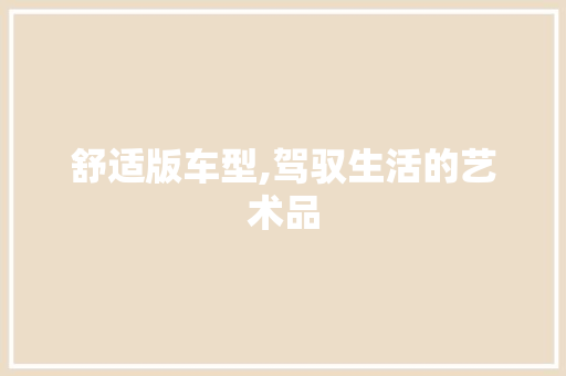 舒适版车型,驾驭生活的艺术品