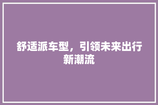 舒适派车型，引领未来出行新潮流