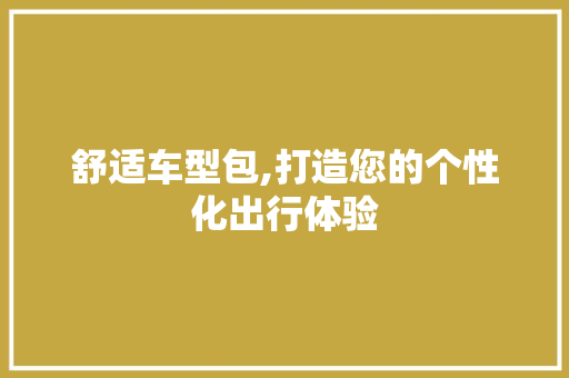 舒适车型包,打造您的个性化出行体验