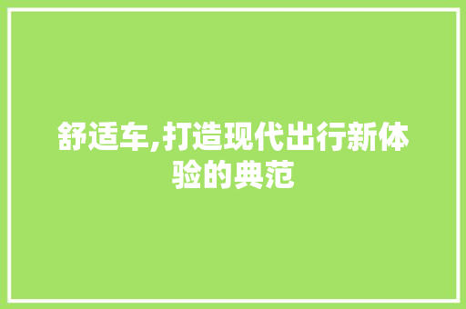 舒适车,打造现代出行新体验的典范